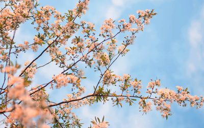 Cómo ahorrar energía en primavera. 7 cambios en casa que reducen la factura de la luz