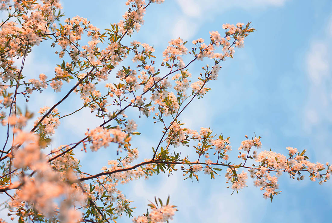 Cómo ahorrar energía en primavera. 7 cambios en casa que reducen la factura de la luz