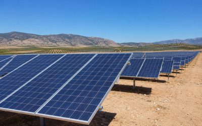 ¿Por qué se desperdicia electricidad renovable en España?